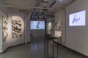 Evgeny Shcheglov - personal exhibition in A3 Gallery